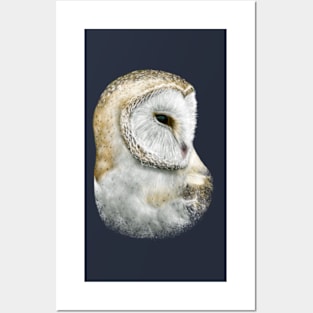 Barn Owl Posters and Art